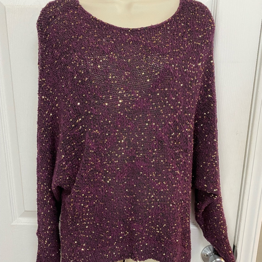 Sparkly Sweater